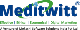 Meditwitt India Private Limited Logo